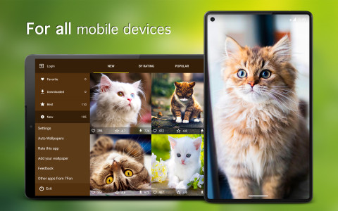 اسکرین شات 6 برنامه Cat Wallpapers & Cute Kittens
