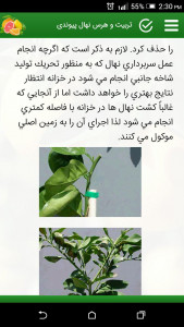 اسکرین شات 7 برنامه دانشنامه پرورش مرکبات
