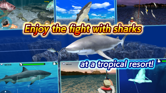 اسکرین شات 6 بازی Wild Shark Fishing