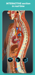اسکرین شات 7 برنامه Anatomy Learning - 3D Anatomy