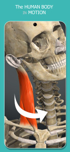 اسکرین شات 4 برنامه Anatomy Learning - 3D Anatomy
