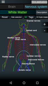 اسکرین شات 2 برنامه Brain and Nervous System 3D