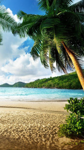 اسکرین شات 4 برنامه Beach Live Wallpaper