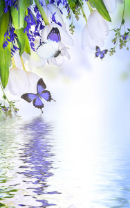 اسکرین شات 1 برنامه Butterfly Live Wallpaper