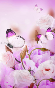 اسکرین شات 2 برنامه Butterfly Live Wallpaper