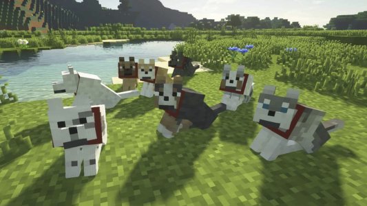 اسکرین شات 3 برنامه Dog Mod for Minecraft PE