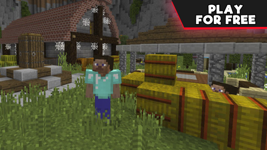 اسکرین شات 5 برنامه Hide and Seek Maps Minecraft