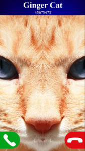اسکرین شات 2 بازی fake call cat game