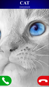 اسکرین شات 4 بازی fake call cat game