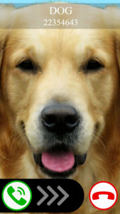 اسکرین شات 1 بازی fake call dog game