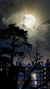 اسکرین شات 3 برنامه Mystic Night Live Wallpaper