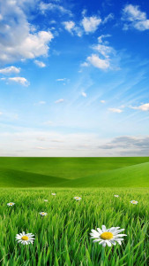 اسکرین شات 5 برنامه Nature Live Wallpaper