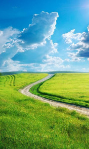 اسکرین شات 6 برنامه Nature Live Wallpaper