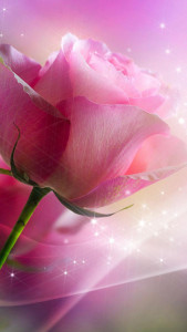 اسکرین شات 1 برنامه Pink Roses Live Wallpaper