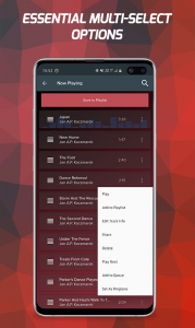 اسکرین شات 5 برنامه Pi Music Player: Offline Music