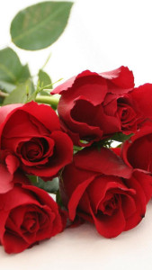 اسکرین شات 3 برنامه Roses Live Wallpaper