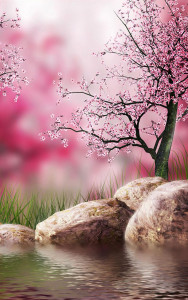 اسکرین شات 3 برنامه Sakura Live Wallpaper