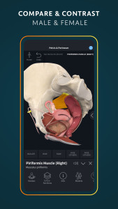 اسکرین شات 5 برنامه Complete Anatomy - Learn in 3D
