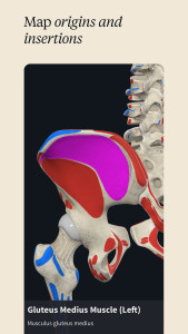 اسکرین شات 5 برنامه Complete Anatomy - Learn in 3D