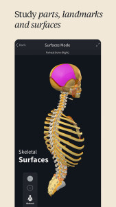 اسکرین شات 4 برنامه Complete Anatomy - Learn in 3D