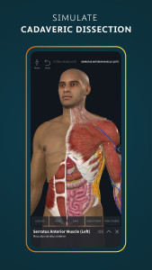 اسکرین شات 2 برنامه Complete Anatomy - Learn in 3D
