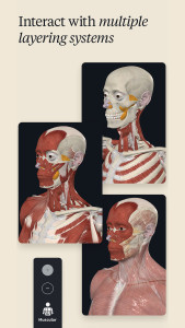اسکرین شات 2 برنامه Complete Anatomy - Learn in 3D