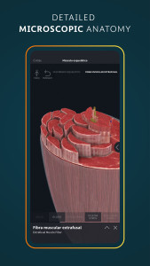 اسکرین شات 8 برنامه Complete Anatomy - Learn in 3D