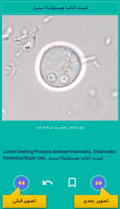 اسکرین شات 3 برنامه اطلس انگل شناسی پزشکی