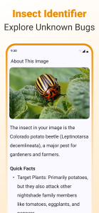 اسکرین شات 7 برنامه AI Lens: Image Search