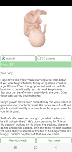 اسکرین شات 6 برنامه Pregnancy Calculator+Calendar
