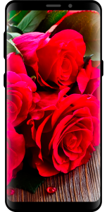 اسکرین شات 7 برنامه 10000 Nature Wallpapers