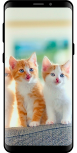 اسکرین شات 5 برنامه 10000 Nature Wallpapers