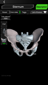 اسکرین شات 7 برنامه Osseous System in 3D (Anatomy)