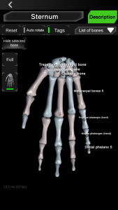 اسکرین شات 3 برنامه Osseous System in 3D (Anatomy)