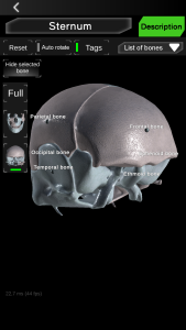 اسکرین شات 8 برنامه Osseous System in 3D (Anatomy)