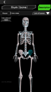 اسکرین شات 4 برنامه Osseous System in 3D (Anatomy)