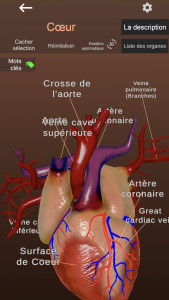 اسکرین شات 5 برنامه Internal Organs in 3D Anatomy