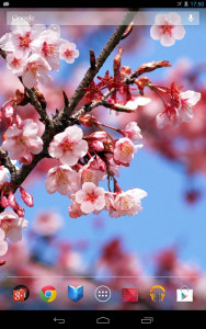 اسکرین شات 3 برنامه Sakura Live Wallpaper