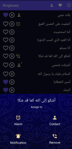 اسکرین شات 3 برنامه Islamic Ringtones and Songs