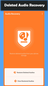 اسکرین شات 1 برنامه Deleted Audio Recovery