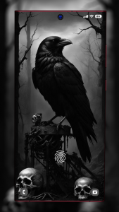 اسکرین شات 3 برنامه Black Wallpapers