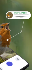 اسکرین شات 2 برنامه Bird Sound Identifier Bird ID