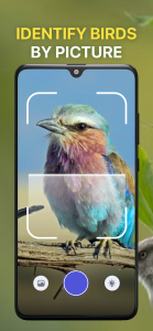 اسکرین شات 3 برنامه Bird Sound Identifier Bird ID