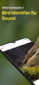 اسکرین شات 1 برنامه Bird Sound Identifier Bird ID