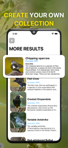 اسکرین شات 5 برنامه Bird Sound Identifier Bird ID
