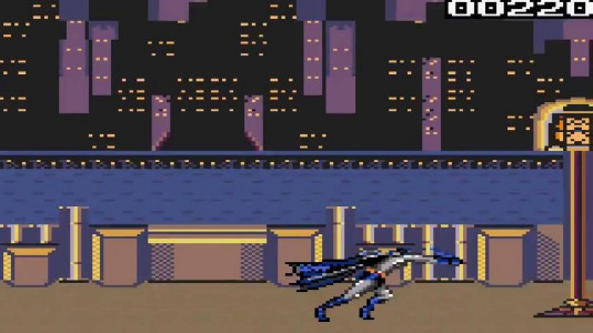 اسکرین شات 1 بازی شبیه ساز: ماجراهای بتمن و رابین سگا