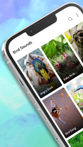 اسکرین شات 1 برنامه Bird Calls, Sounds & Ringtones