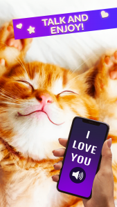اسکرین شات 3 بازی Cat Translator Pet Talk Meow