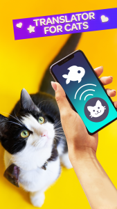 اسکرین شات 1 بازی Cat Translator Pet Talk Meow