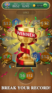اسکرین شات 5 بازی Hexa Block Puzzle - Merge!